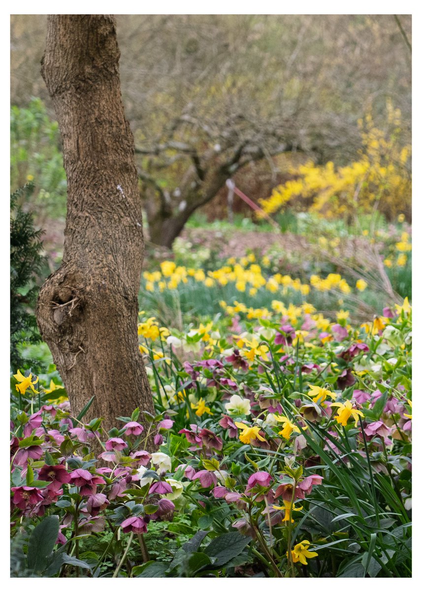 Solivagant tweet media