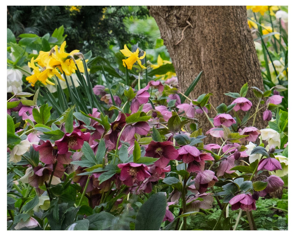 Solivagant tweet media