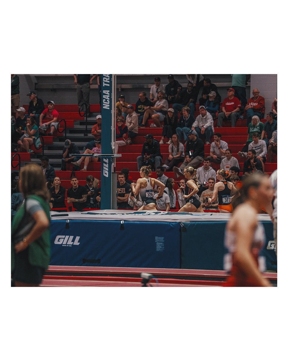 NC State Track & Field and Cross Country tweet media