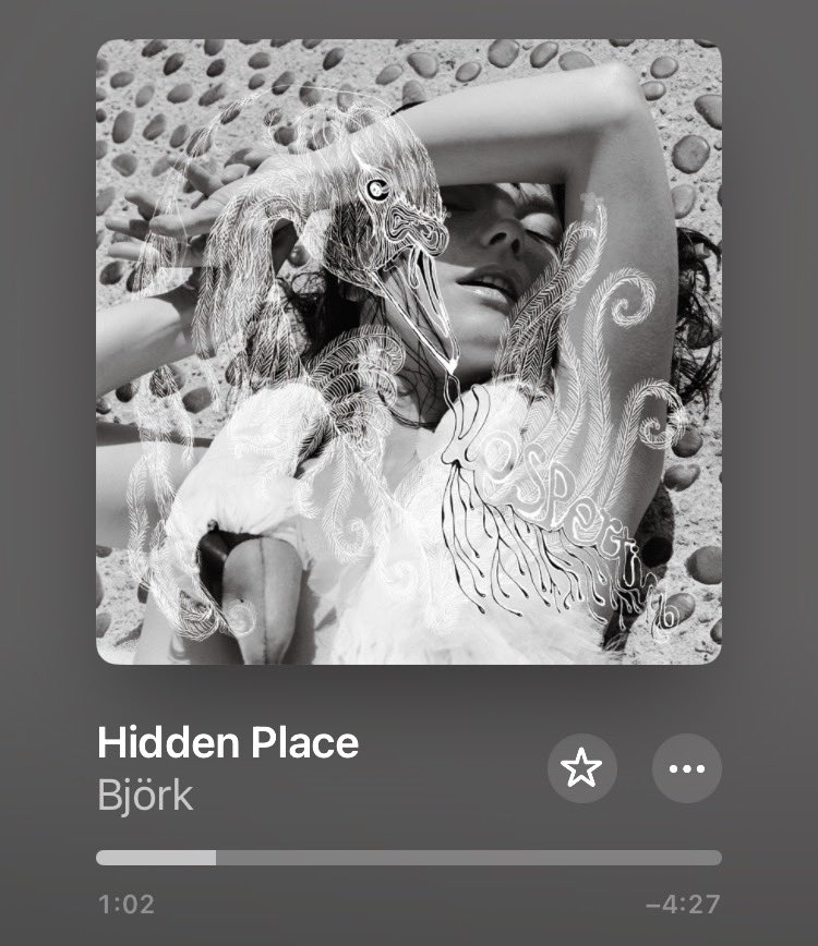 seosamh 🇵🇸 tweet media