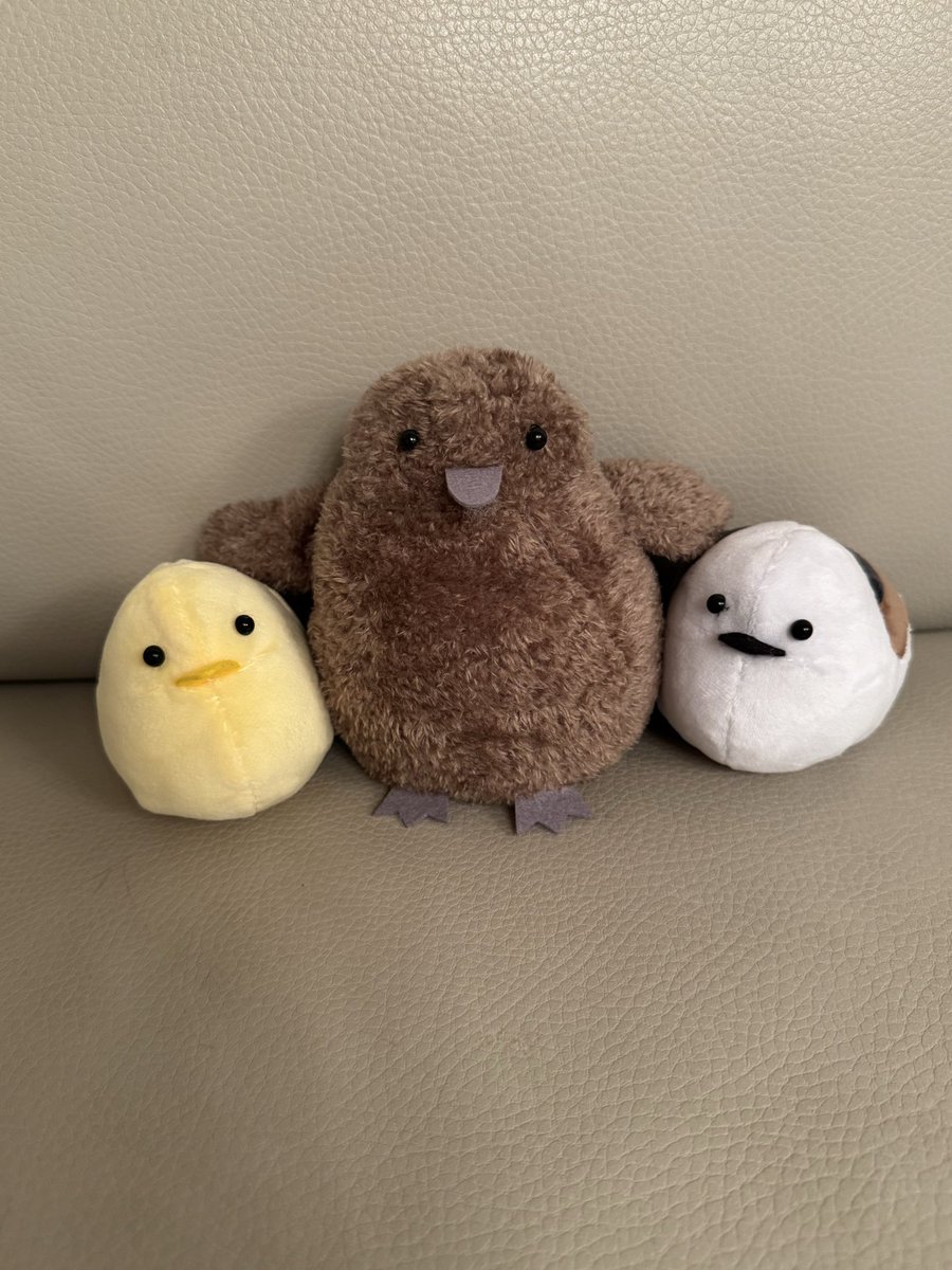 第三弾は、娘と約束していたペンギンの赤ちゃんです🐧

アカデミー賞も終わって、春休みにもなって、落ち着いたので今夜も🪡
もふもふでかわいいです。
並べてみるとさらにかわいい！

またまたこんな時間💦
おやすみなさい💤

#綿入れる前が好き
