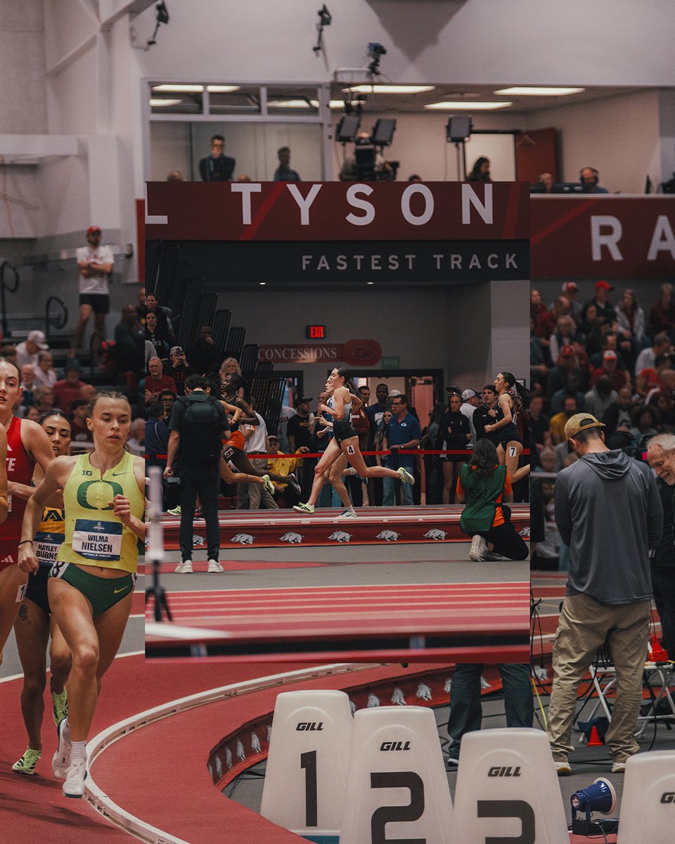 NC State Track & Field and Cross Country tweet media