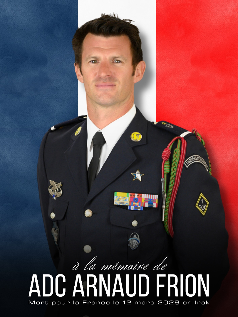 Soutien Commando tweet media