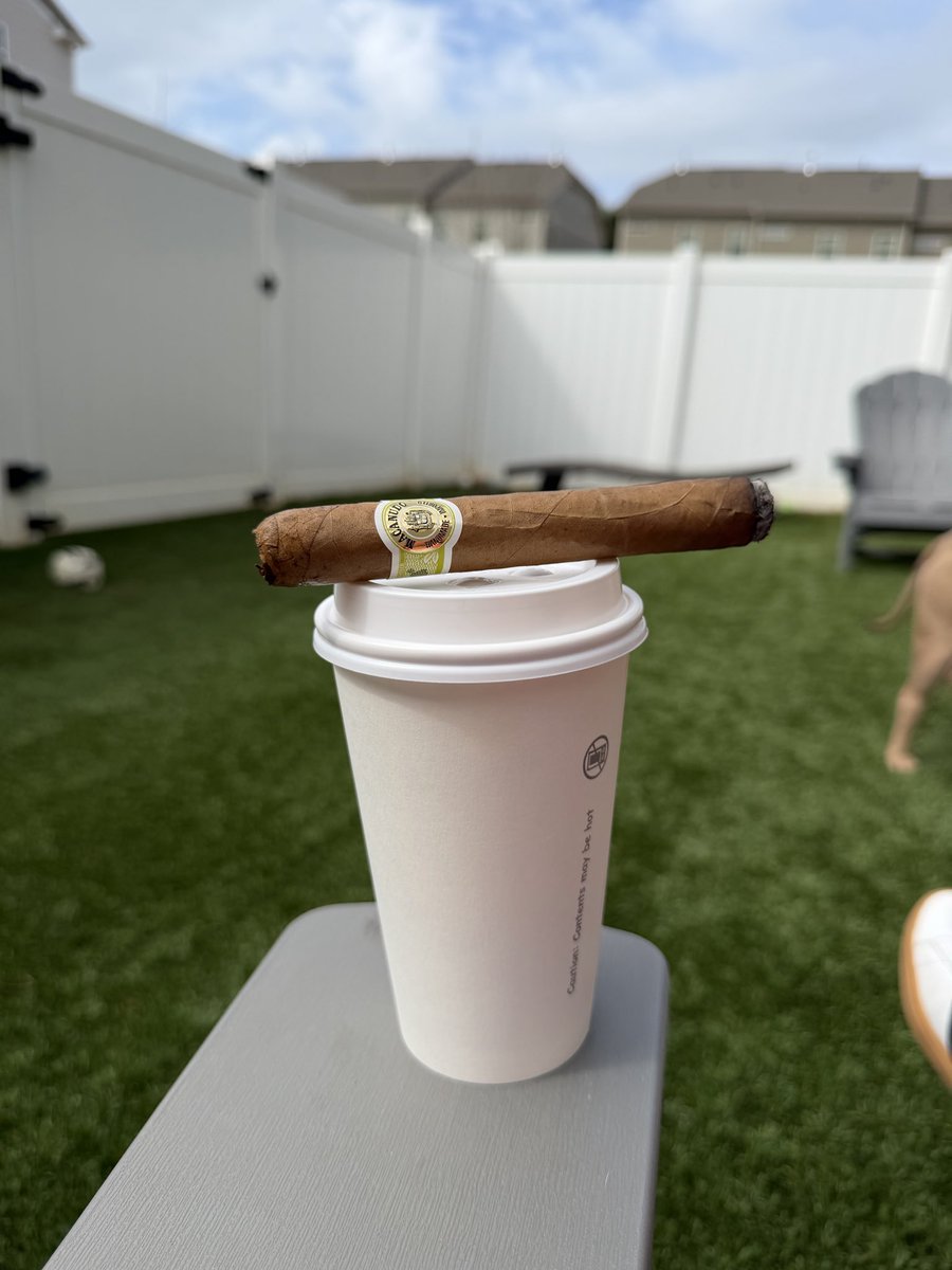 CLT Tarheel tweet media