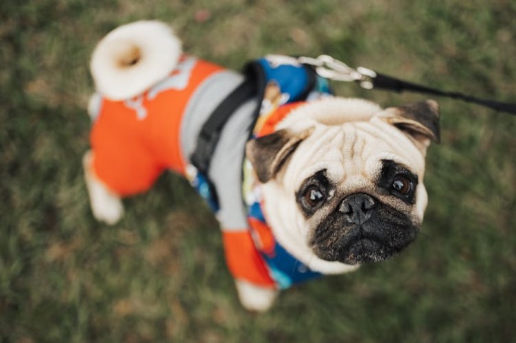 Entendu au bureau tweet media