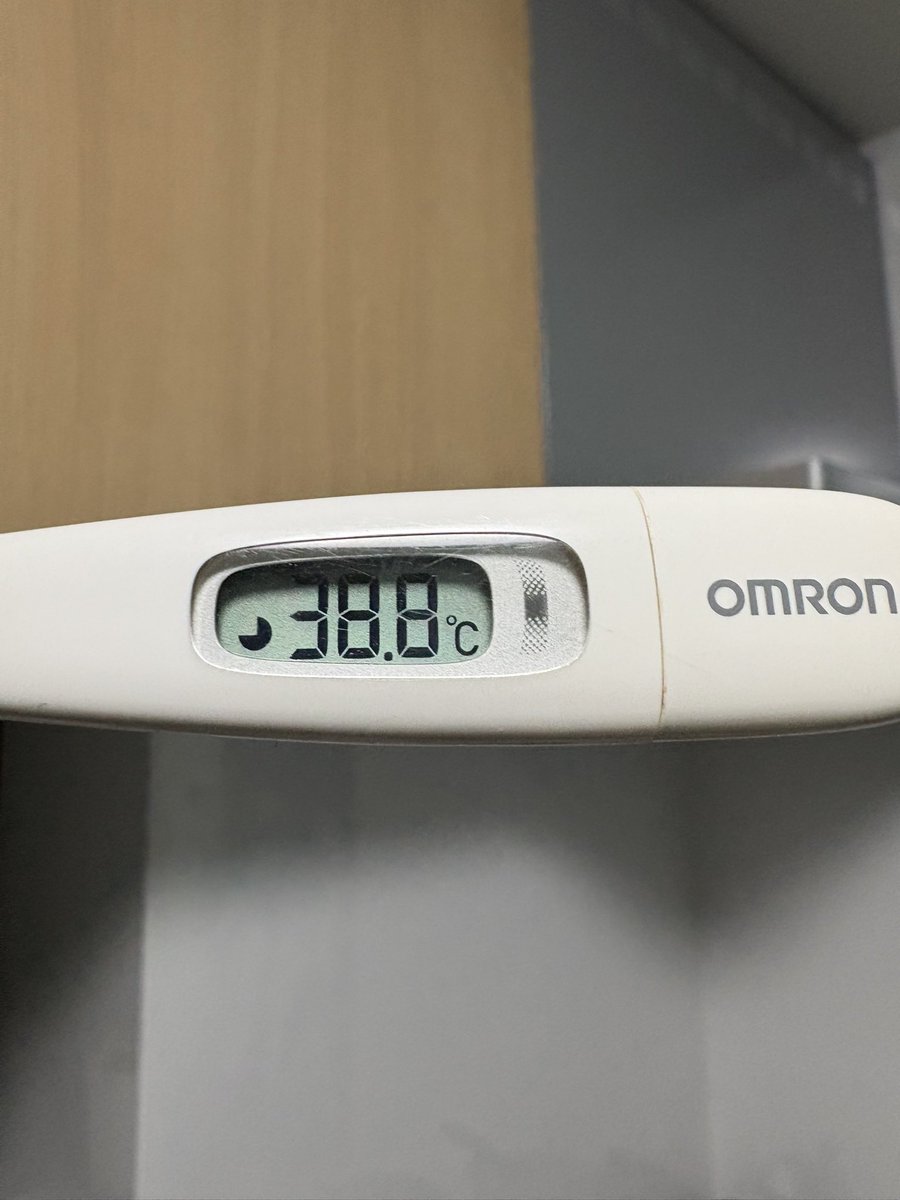 🐣ぴよまる。 tweet media