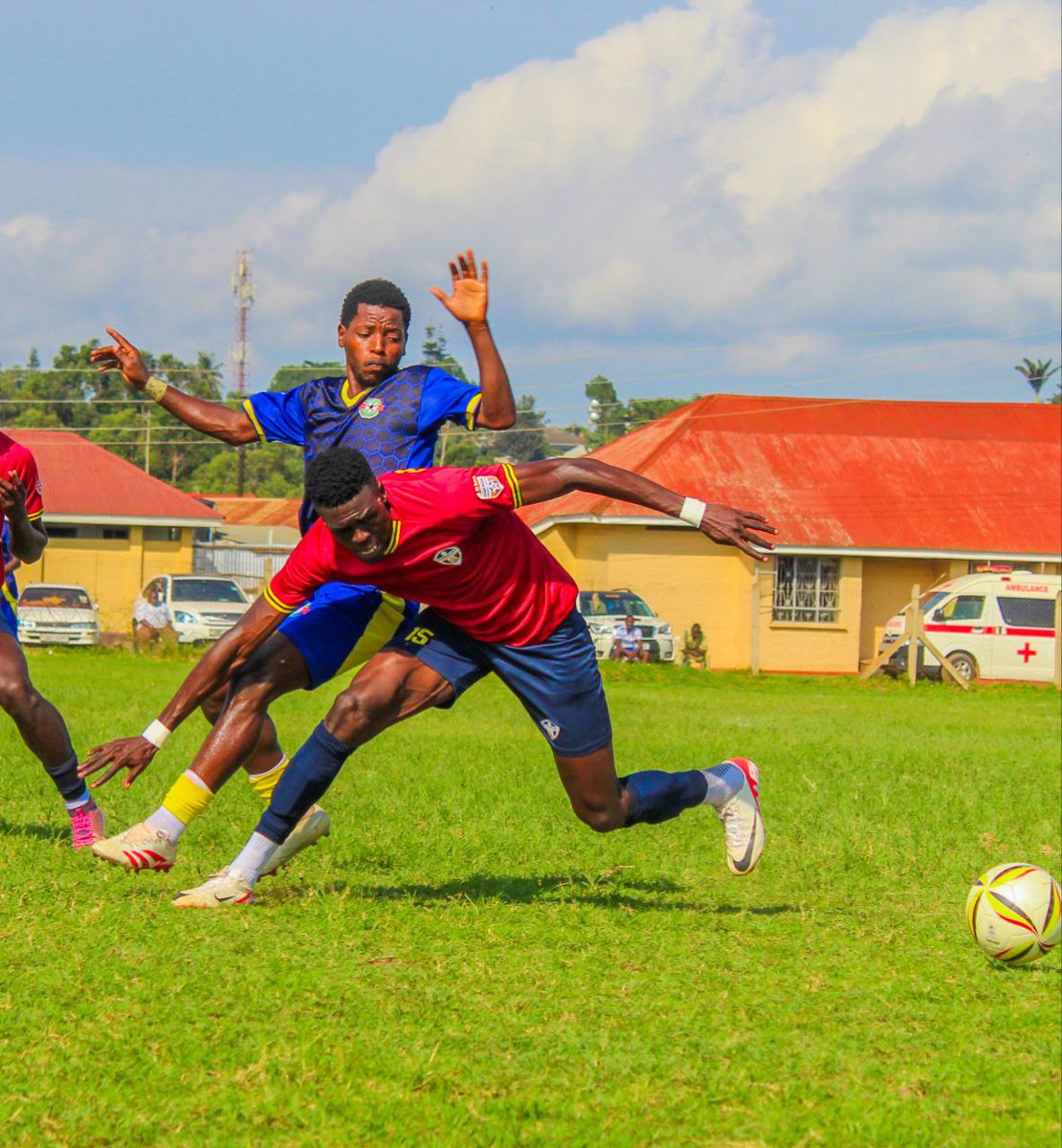 Borris Onegi#14 tweet media