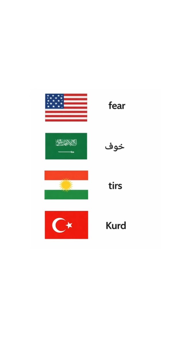 Hêja ACAR tweet media