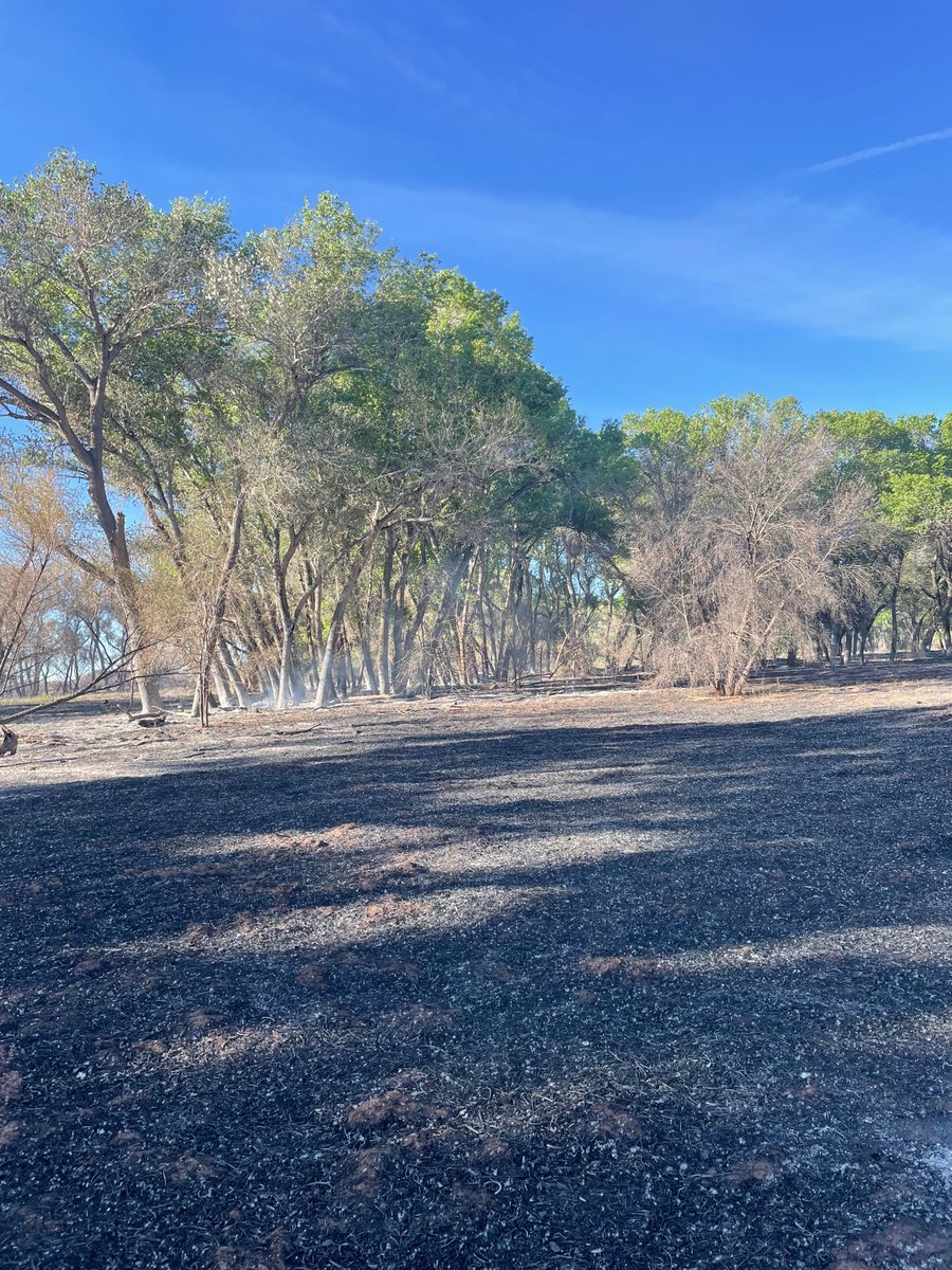 Bureau of Land Management Arizona Fire Management tweet media