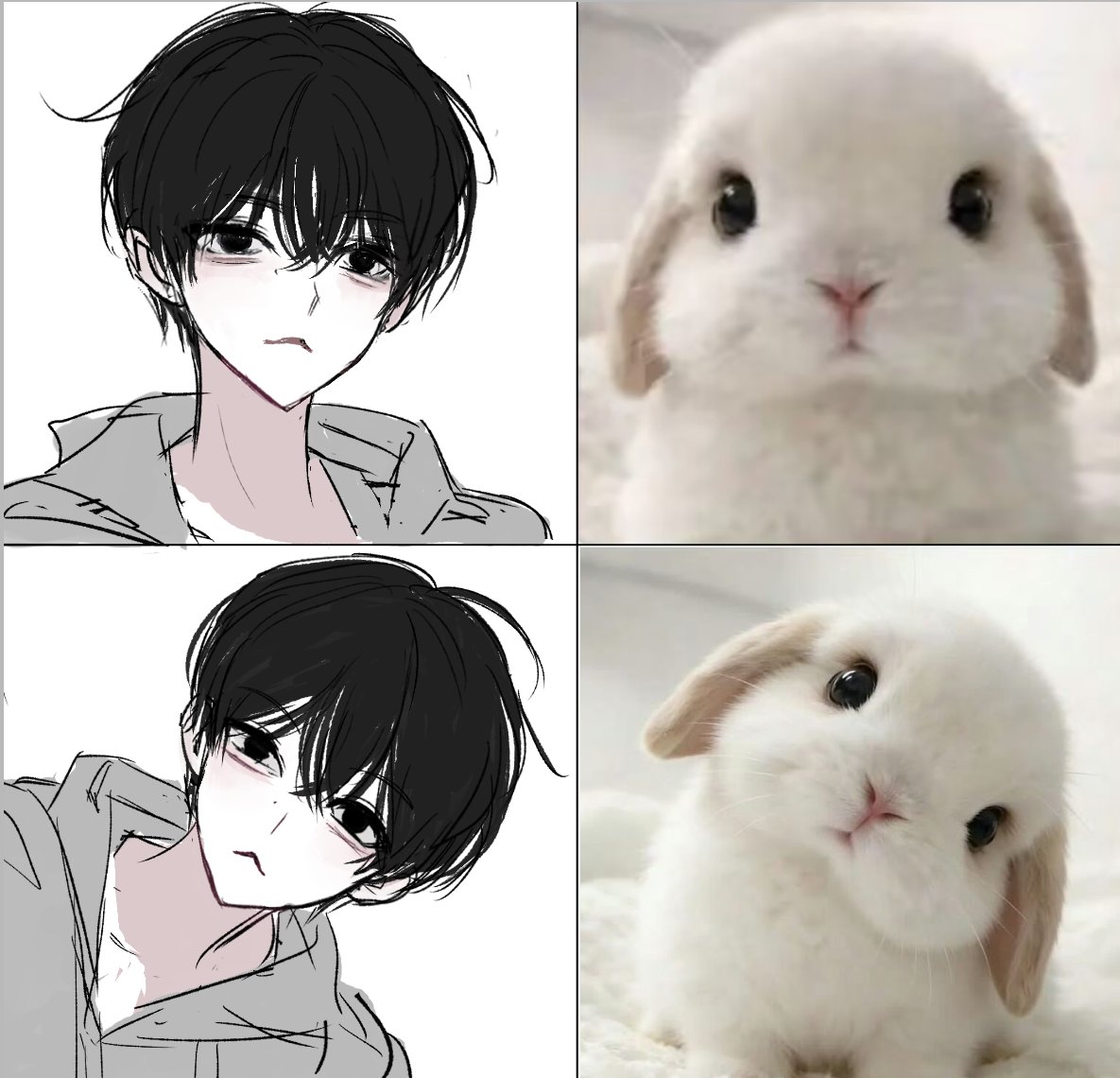 卡利亚式奉还 (@1ullab1) on Twitter photo 