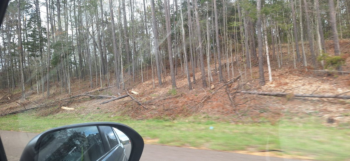 StephJane80's tweet photo. @jamesaydelott @LauraMockWX Not sure just a long strand of trees down some are uprooted https://t.co/Xvxo2fsfHb