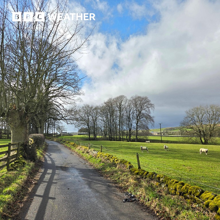 BBC Weather tweet media