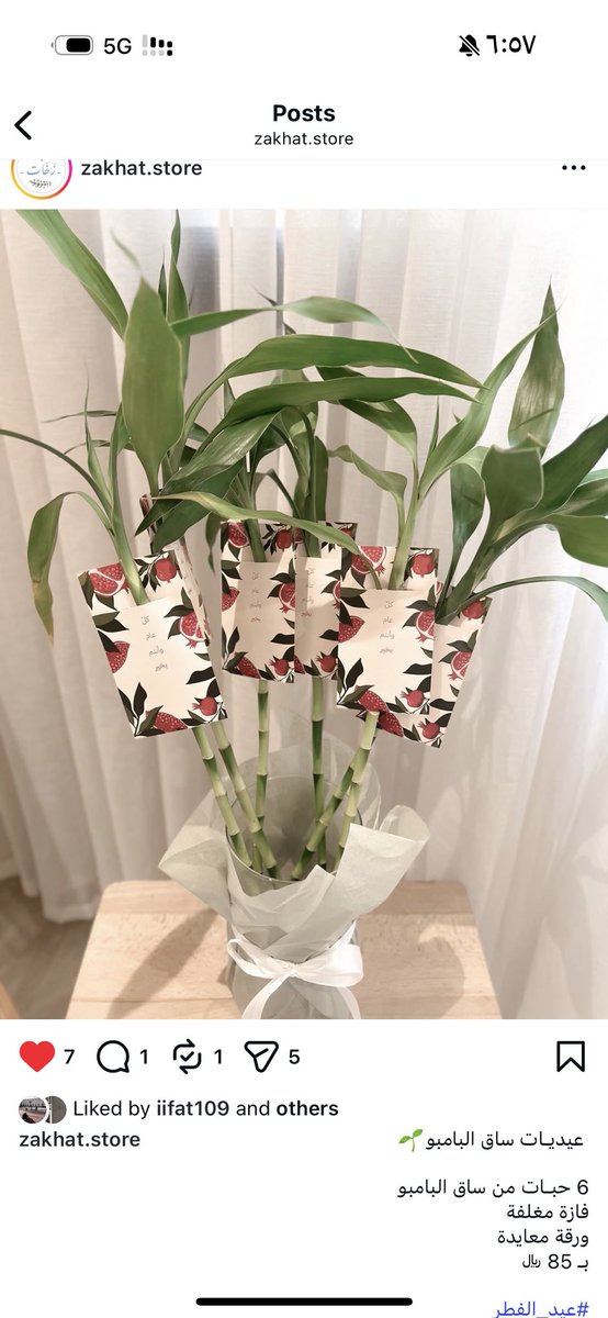 جوحو tweet media