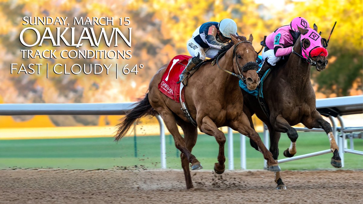 Oaklawn Hot Springs tweet media