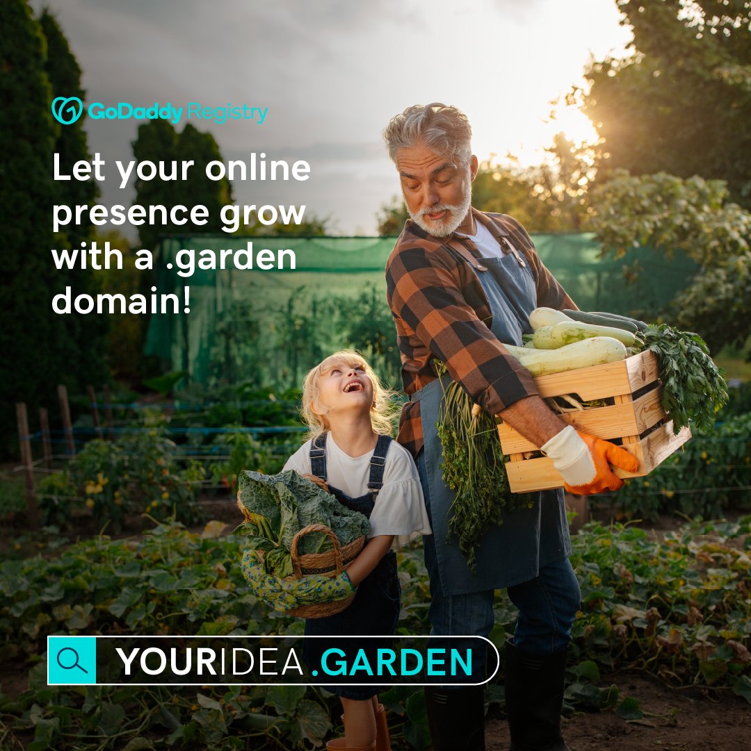 GoDaddy Registry tweet media