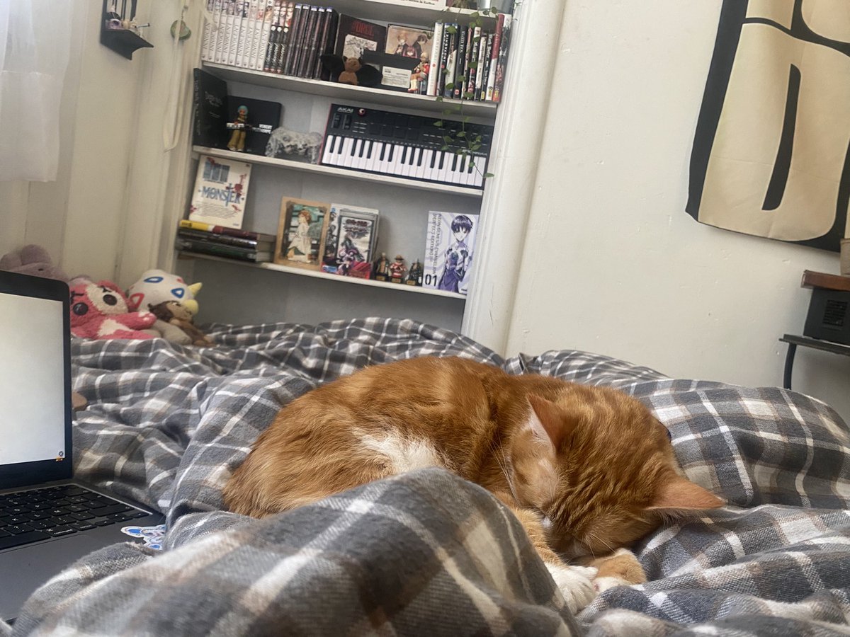 Mendingue 🇵🇸 tweet media