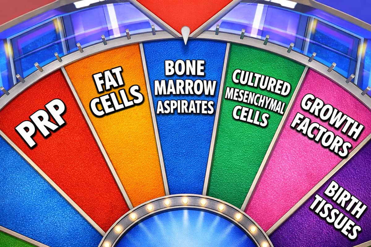 The Stone Clinic tweet media