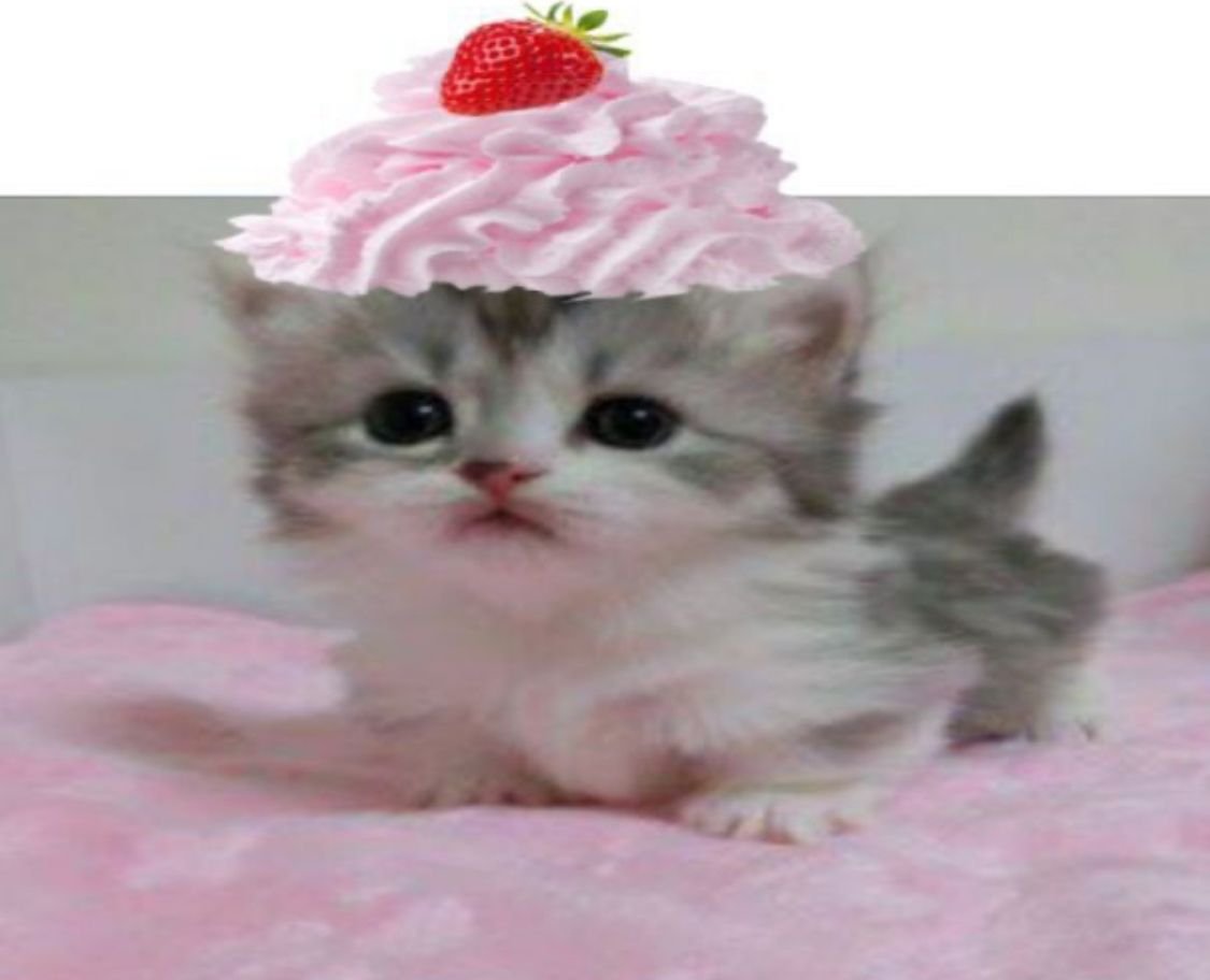 ZHAO RYDER. tweet media