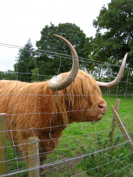 Sherrye R Dix tweet media