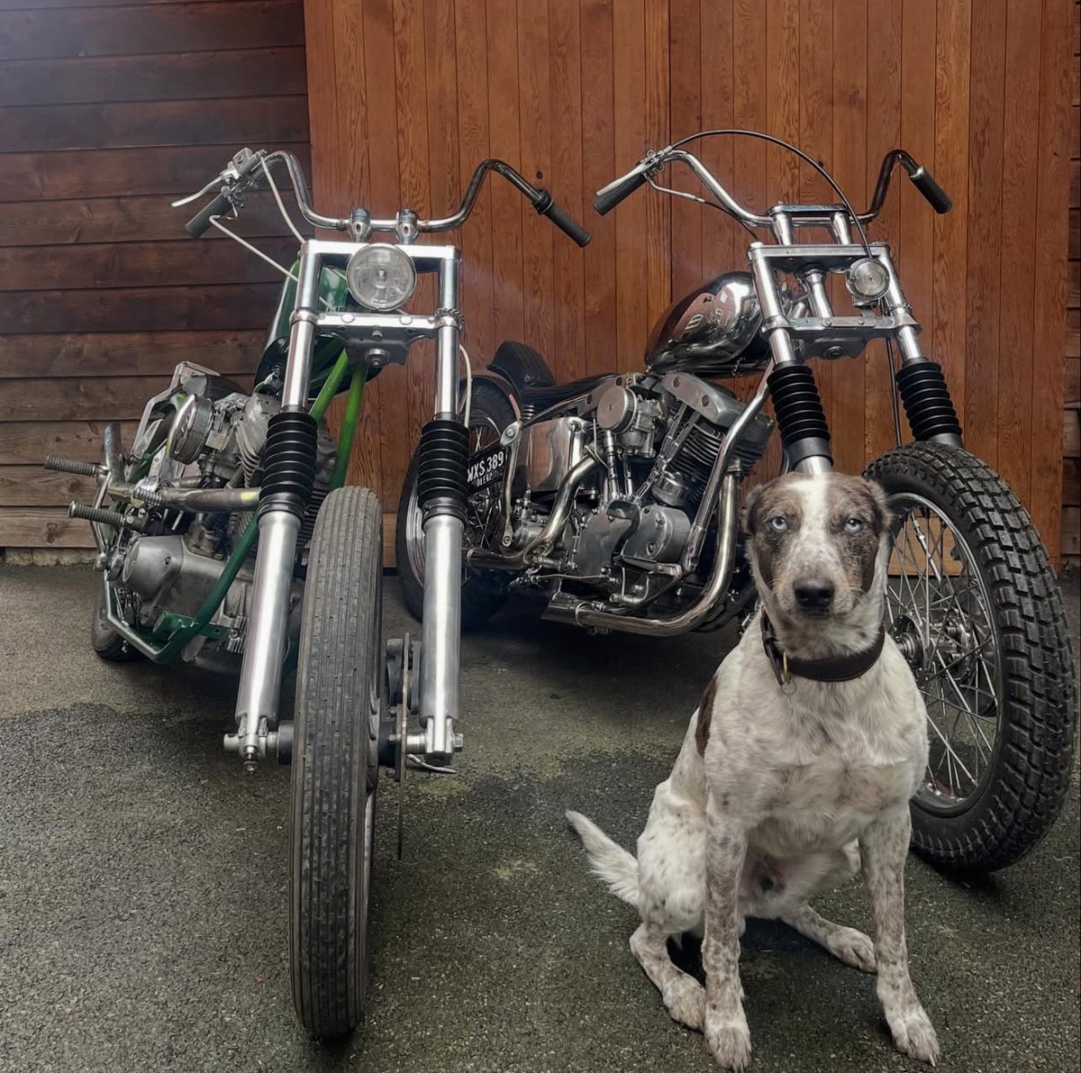 Lowbrow Customs tweet media