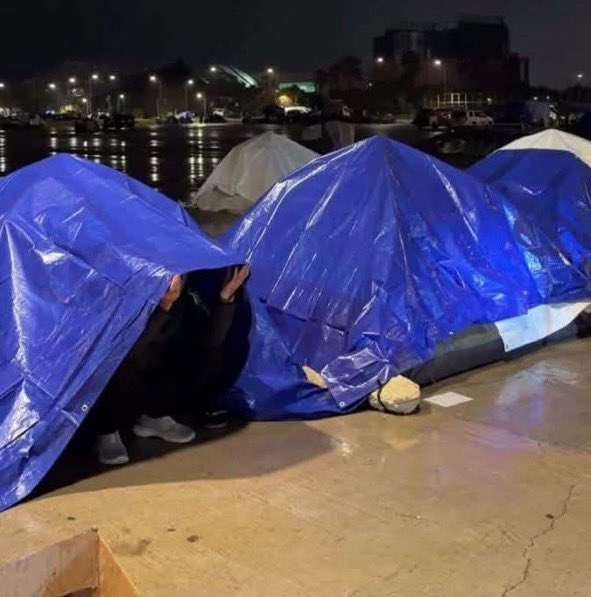 من أقنع الجنوبيين
أن يستبدلوا البيت بخيمة؟

أن تصبح الأرض
في حقيبة؟

أن تتحول شتلة التبغ
إلى بصلة على موقد النزوح؟

ومن قال لهم
إن شجرة الزيتون
يمكن أن تُستبدل
بفرشة إسفنج
في غرفة انتظار طويلة؟

الجنوب ليس حقيبة.
ولا خيمة.

الجنوب بيت.
وأرض.
وجذور.

عودوا إلى العقل.
عودوا إلى