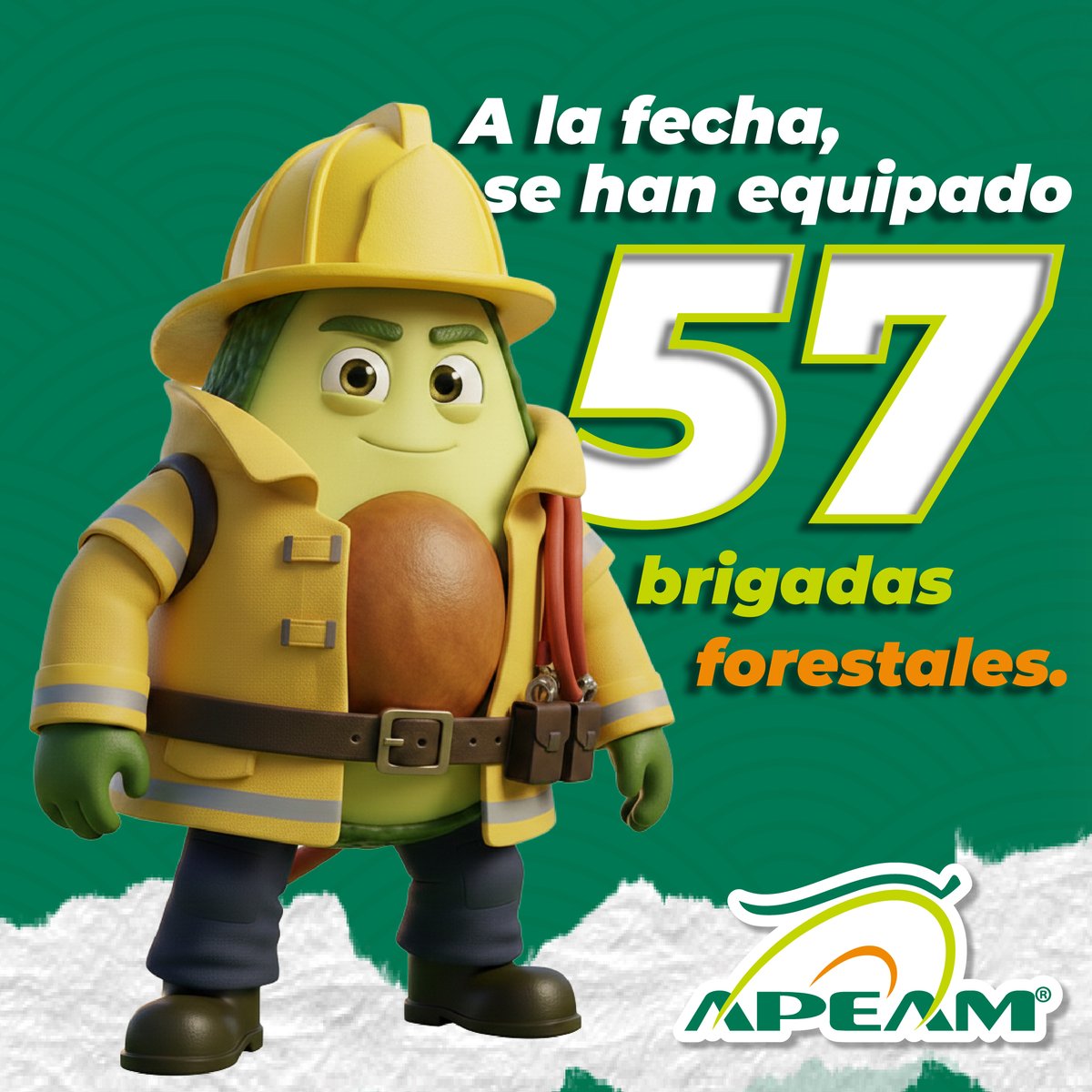 APEAM, A.C. tweet media