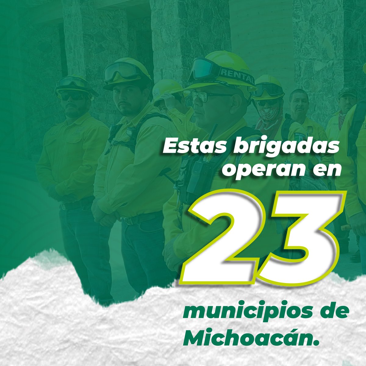 APEAM, A.C. tweet media