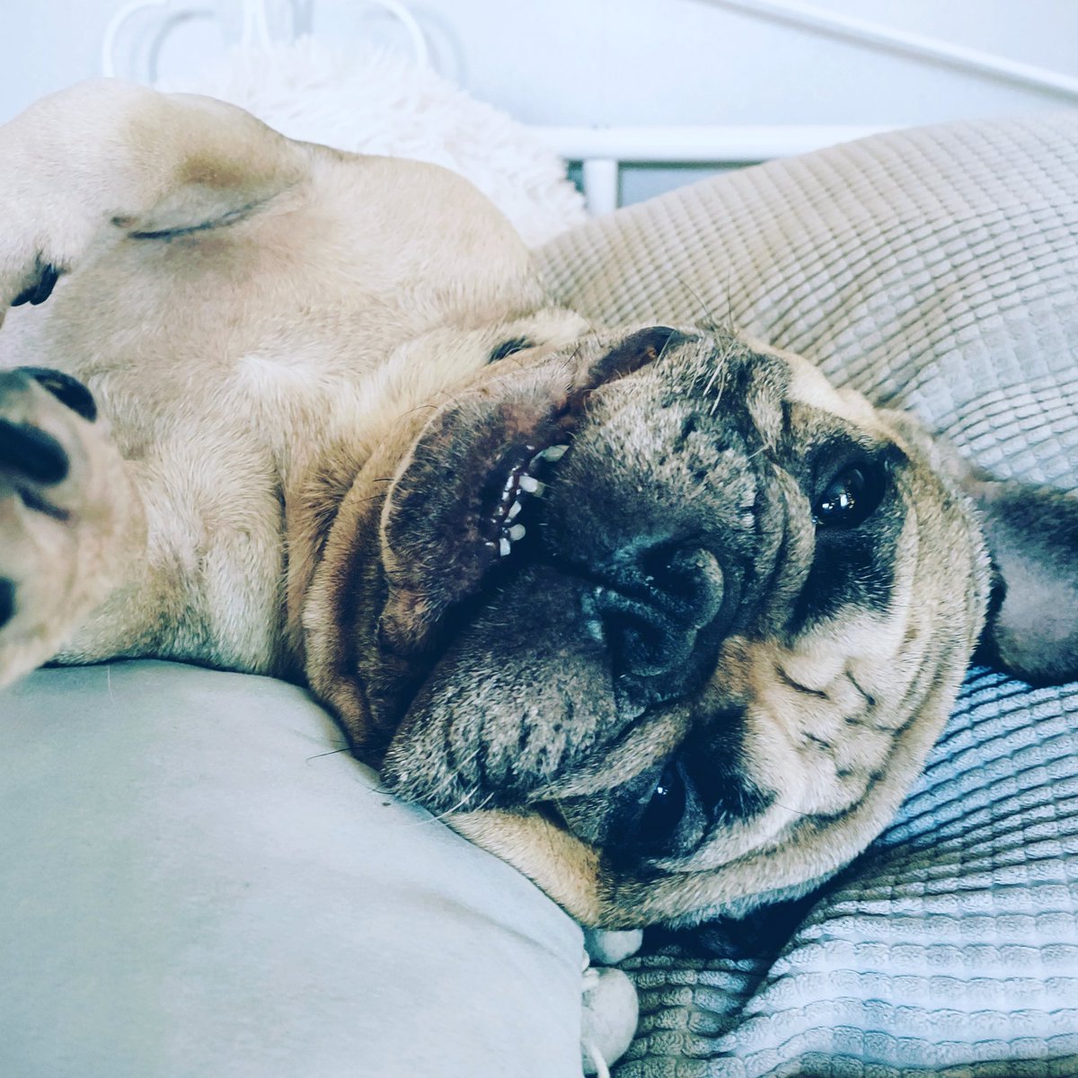 Whale Psychiatrist ™️ tweet media