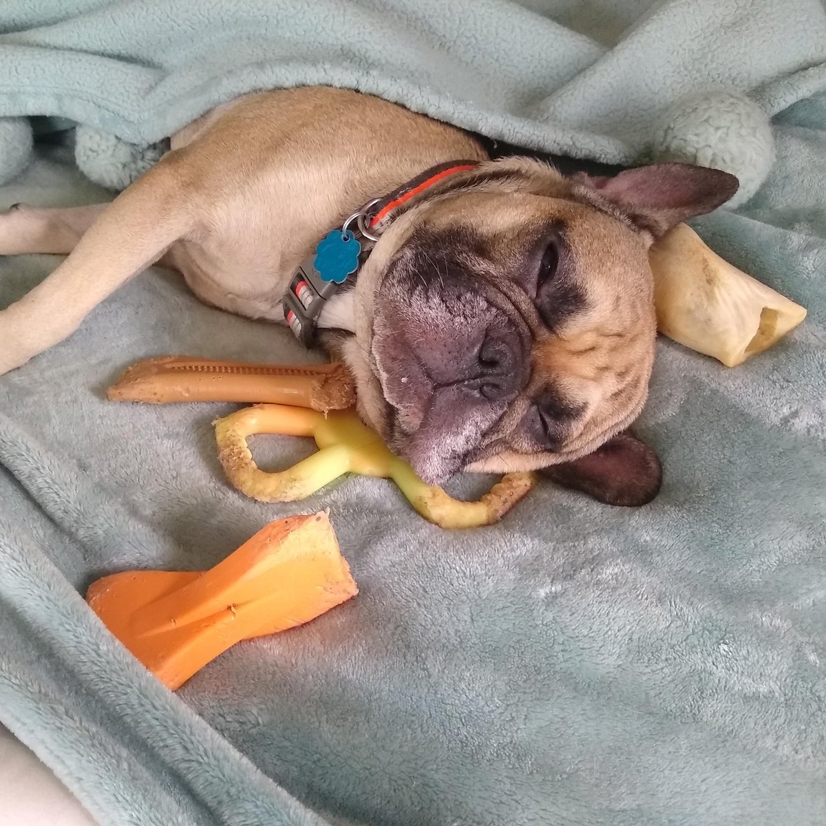 Whale Psychiatrist ™️ tweet media