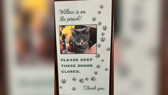 🇨🇦 Nico Carney, Purr Minister of Canada tweet media