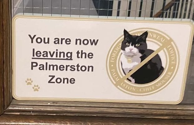 🇨🇦 Nico Carney, Purr Minister of Canada tweet media