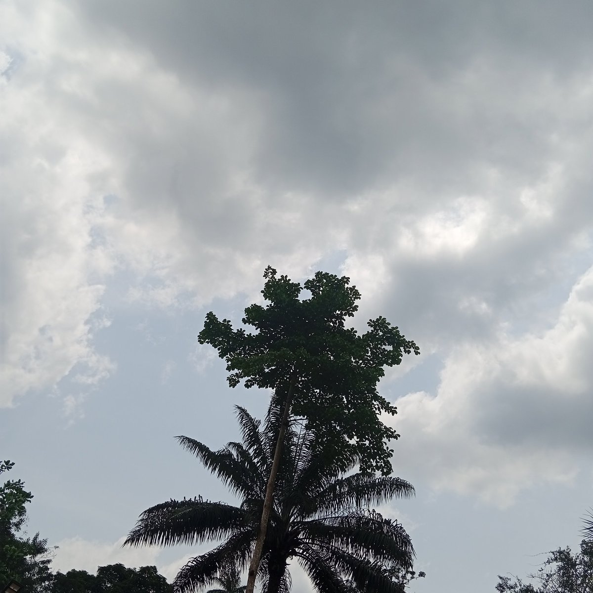 modesty🍹 tweet media