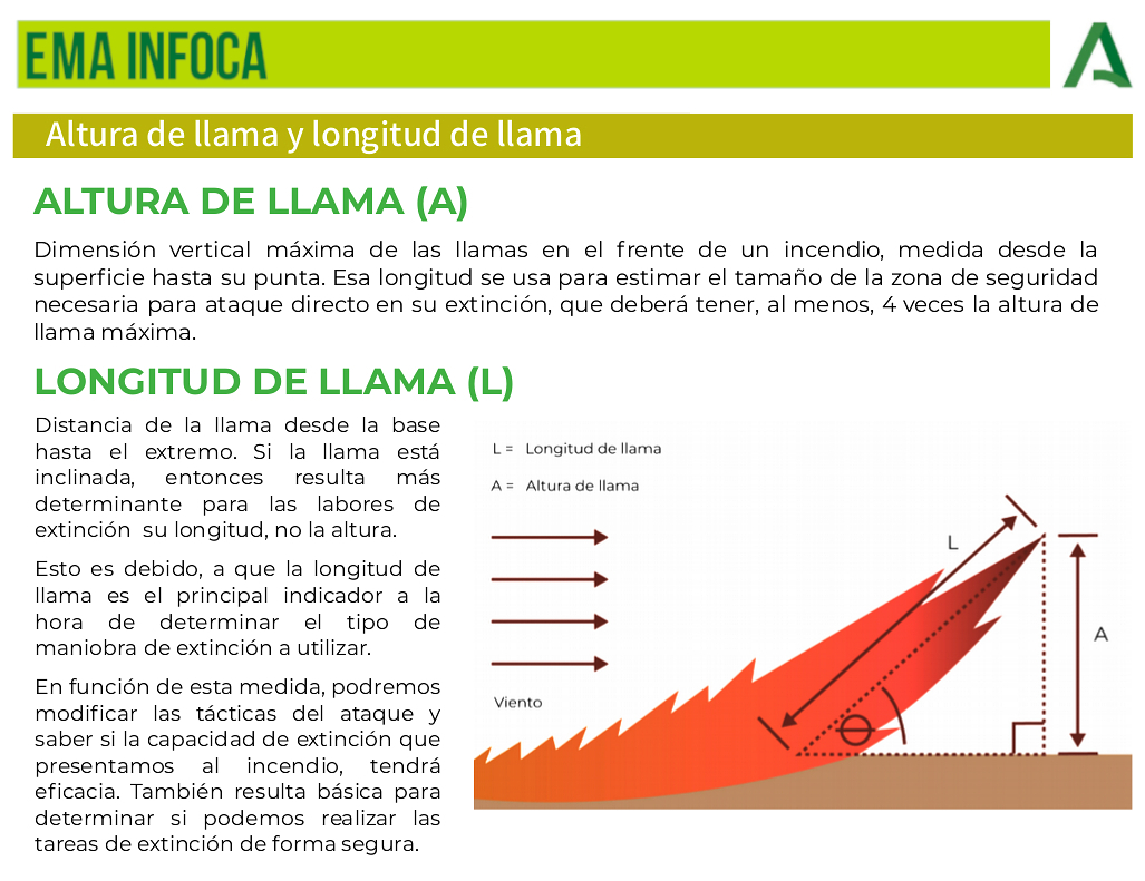 EMA INFOCA tweet media