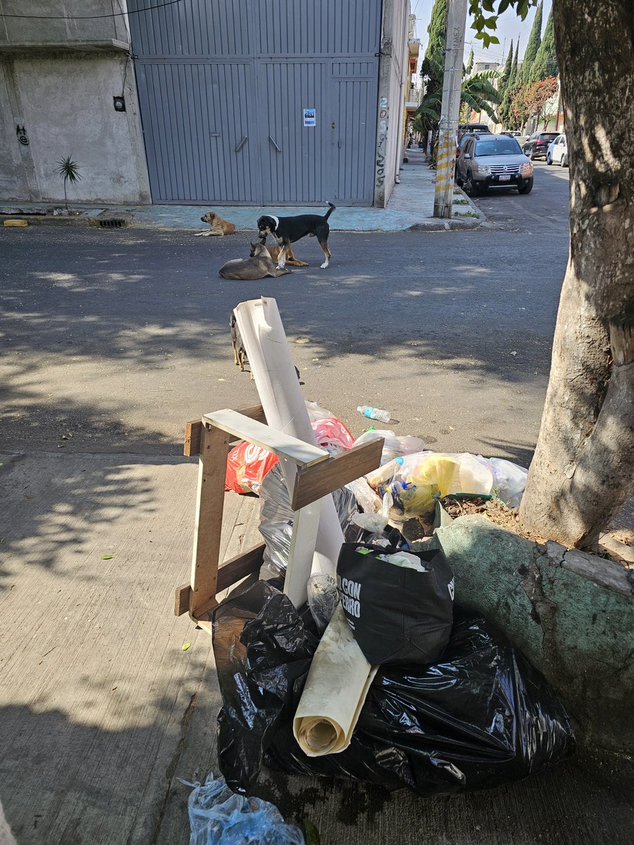 Jorge Orozco tweet media