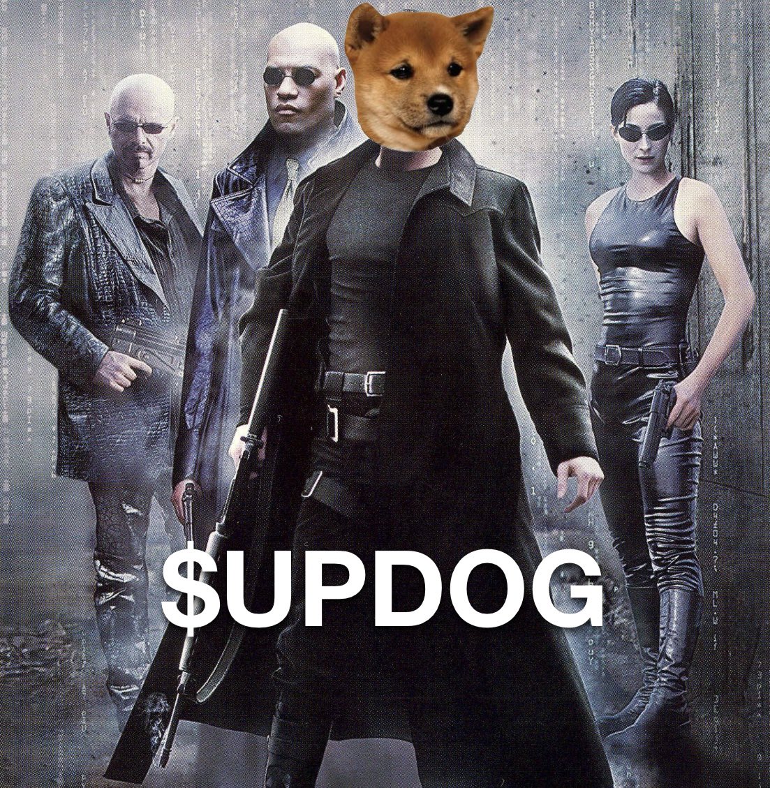 What’s Updog? tweet media