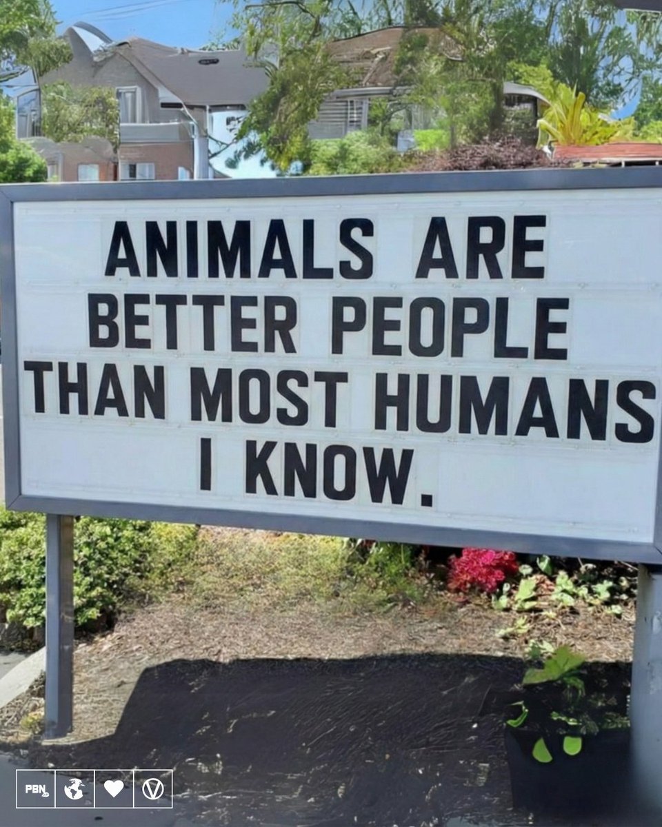 Plant Based News tweet media