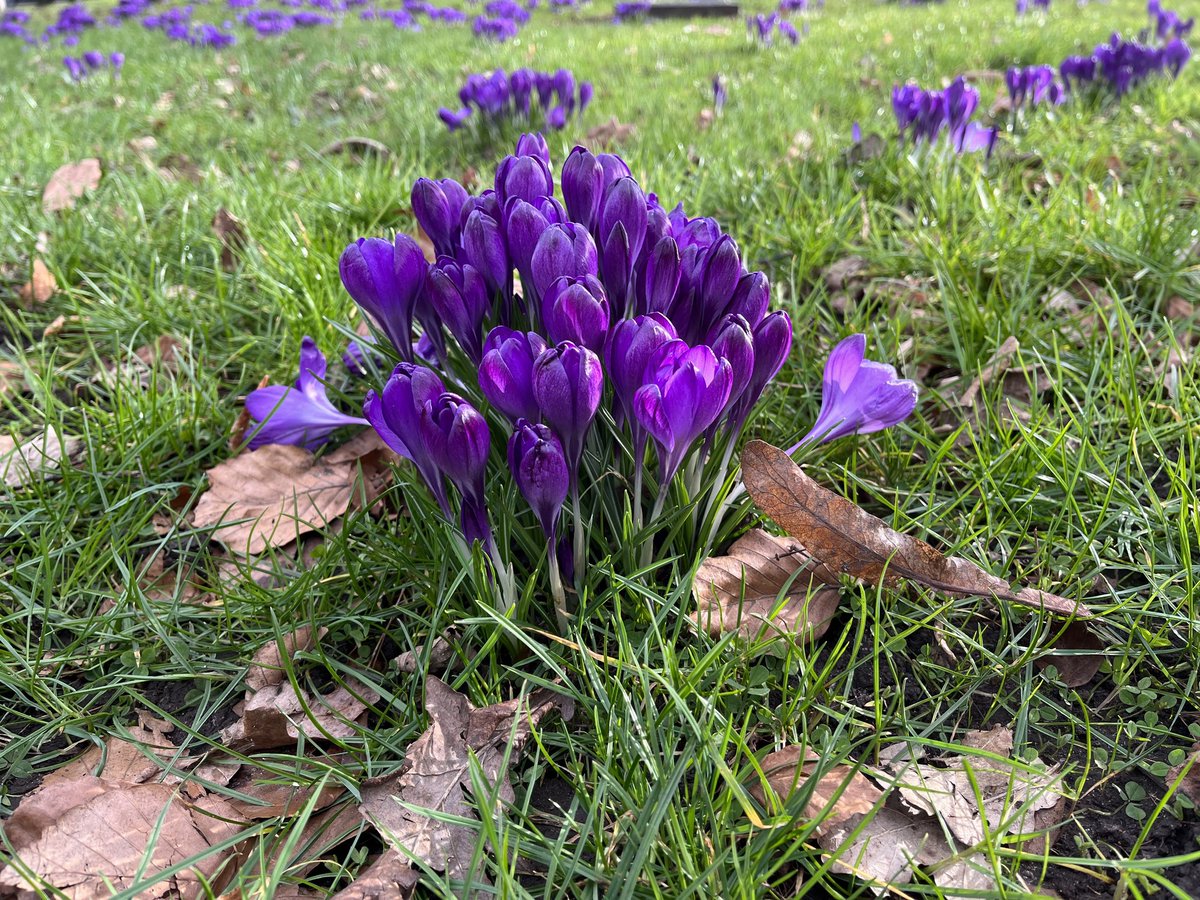 Tettenhall Rotary tweet media