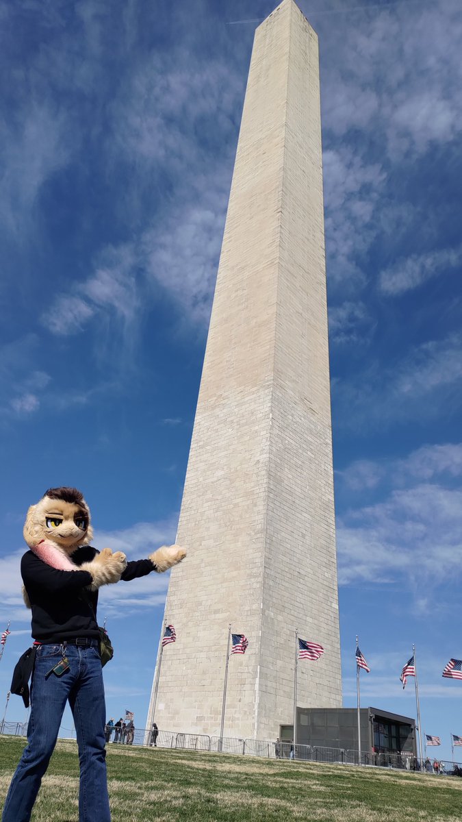 WattaBunny🔜FurTheMore tweet media