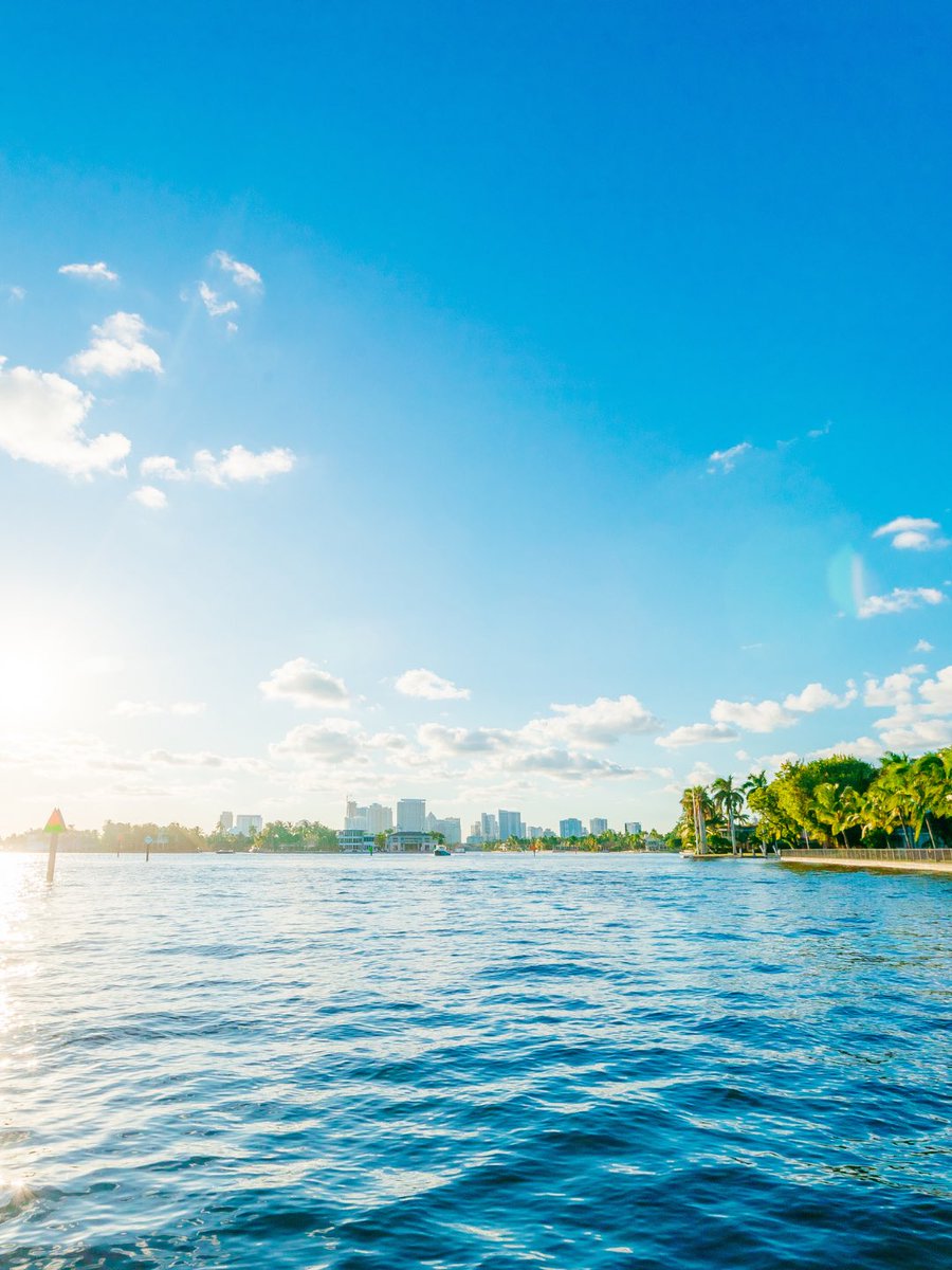 visitlauderdale's tweet image. Travel by boat. Splash by splash. 🌊

Glide through Greater Fort Lauderdale’s scenic canals and experience the city from its most relaxing perspective.

#boating #boatingseason #boatinglifestyle #waterways #broward