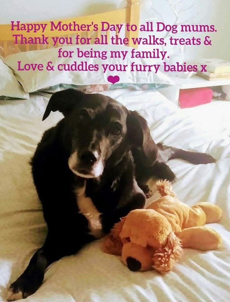 ABC for MentalHealth tweet media