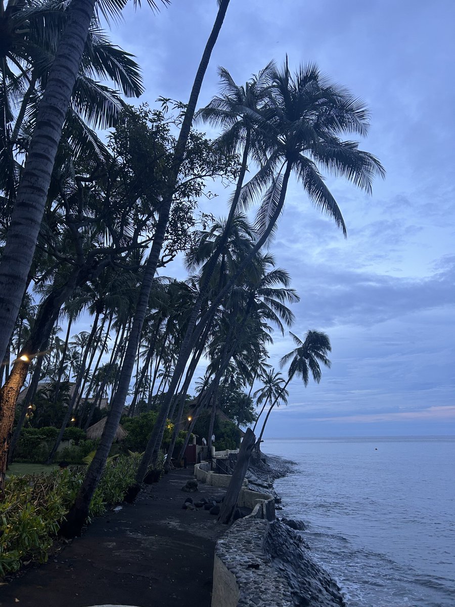 NotAMai_'s tweet photo. happy sunday, pirates!🏴‍☠️⚓️

a quick reminder that you still have time to complete the first and second phases of our treasure hunt challenge to earn 100 USDC and 500 Gold.

on monday we will begin solving the final stage and find out who will be the lucky winner.

stay tuned. for now it is time to rest and recharge before the big voyages.🏴‍☠️🟦⚓️💙