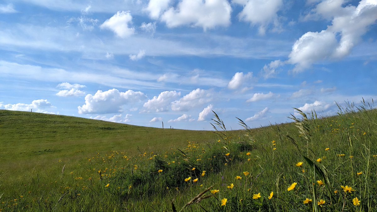 Faustina Conner tweet media