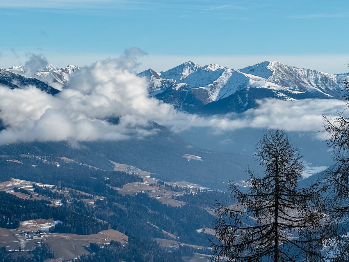 alexhris's tweet photo. Drama queen (phone cleanup) #january2026 #theAlps https://t.co/mXokp5GHz0
