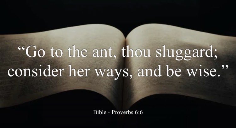 Mosque Maryam tweet media