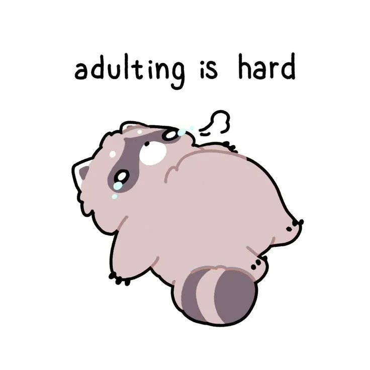 Why you should have a Raccoon tweet media