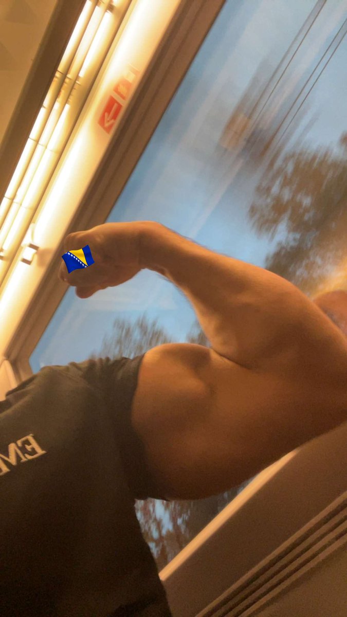 🇧🇦 tweet media