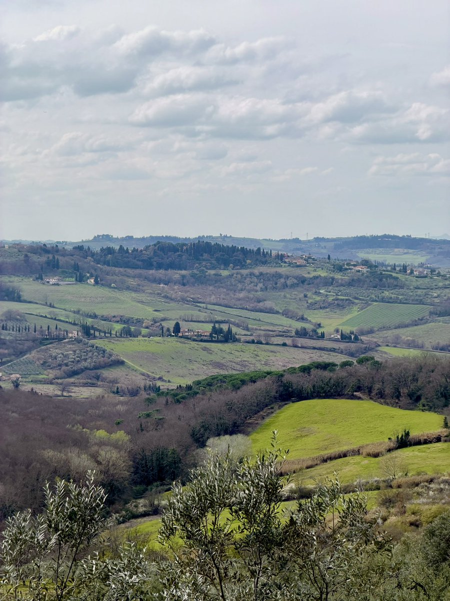 Jonathan S. Geller tweet media