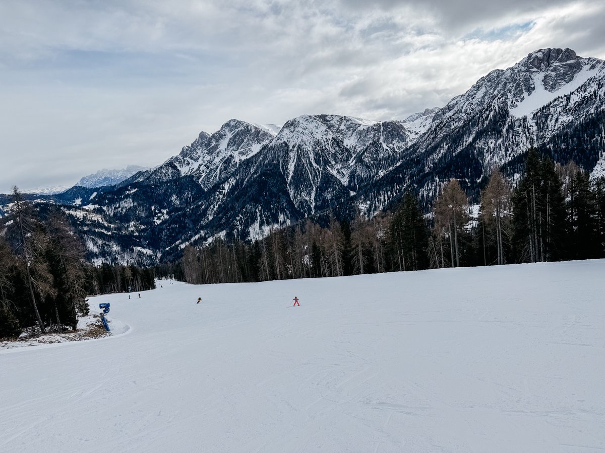 alexhris's tweet photo. Drama queen (phone cleanup) #january2026 #theAlps https://t.co/mXokp5GHz0