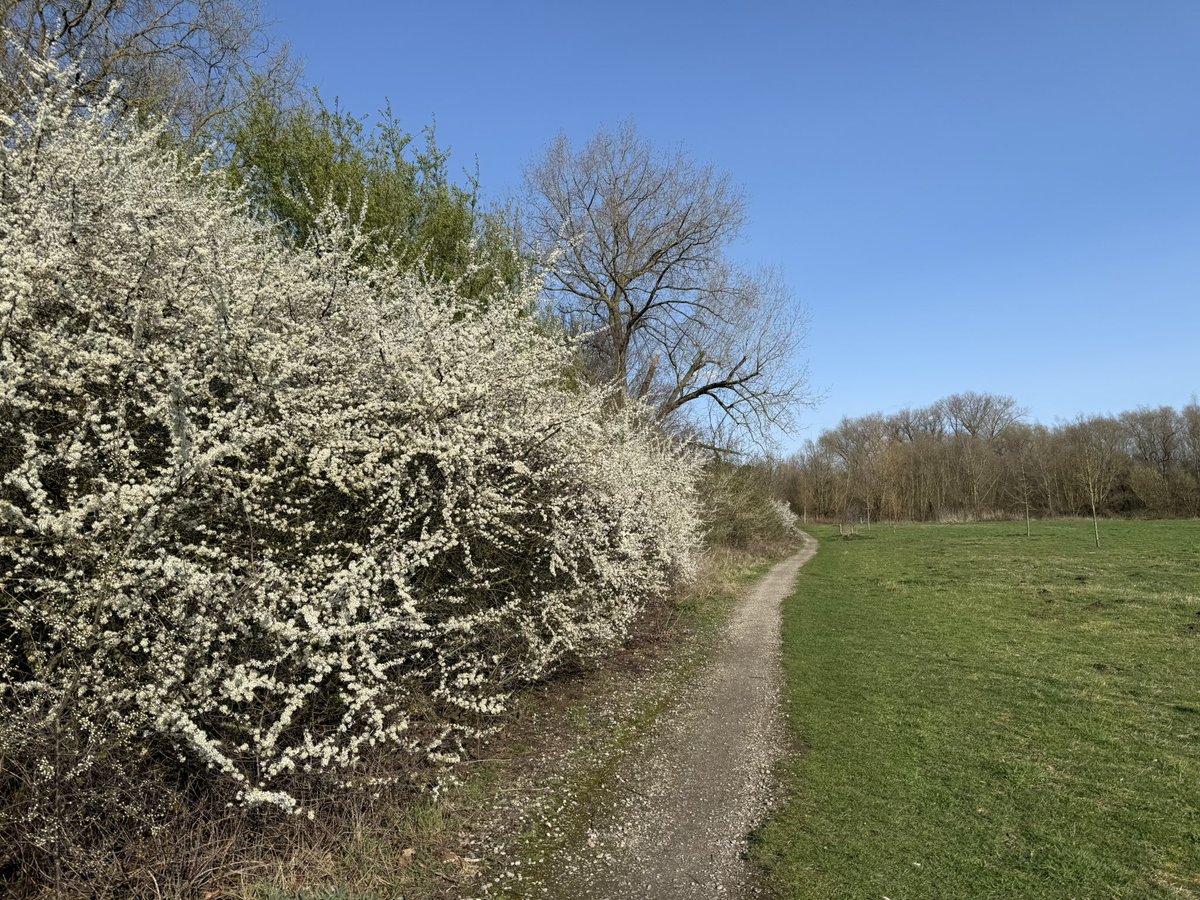 Karl Drabbe tweet media