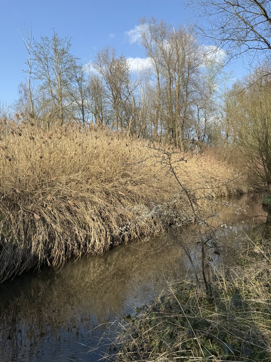 Karl Drabbe tweet media